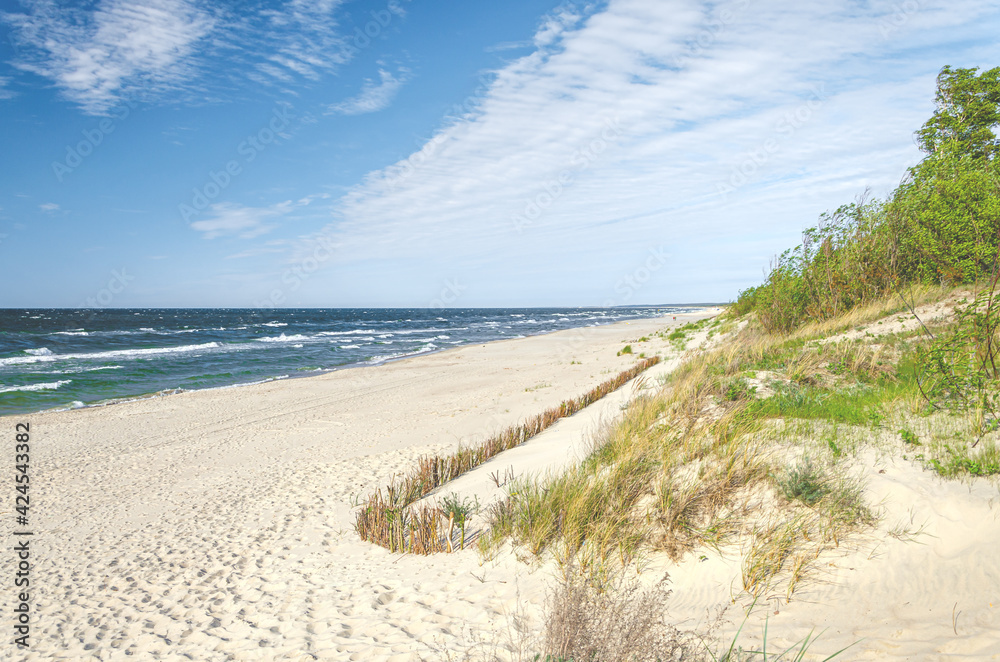 Sandy beach on the Baltic Sea with trees, grass and blue sky, Gdansk, Poland Sandy beach on the Baltic Sea with trees, grass and blue sky, Gdansk, Poland