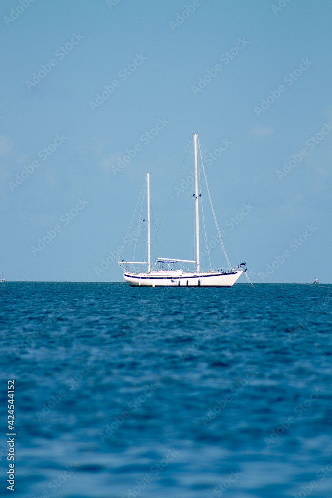 Fototapeta premium Barco 