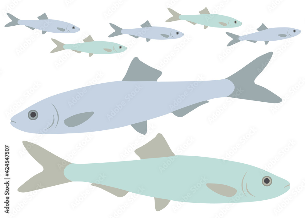 Fish sprat marine in the set. Vector image. Fish sprat marine in the set. Vector image.