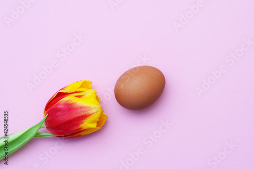 Happy Easter. top view of tulip flowers and traditional easter eggs Abstract photo of a red tulip and chicken egg on a pink background.