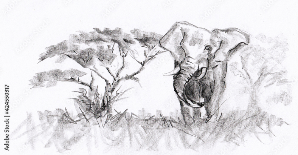 Fototapeta premium An elephant in prairie near tree