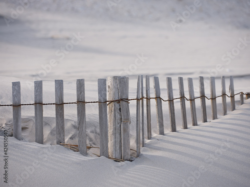 Fototapeta Naklejka Na Ścianę i Meble -  Wood picket fence protects the sand dunes of Stone Harbor Beach on the Jersey Shore