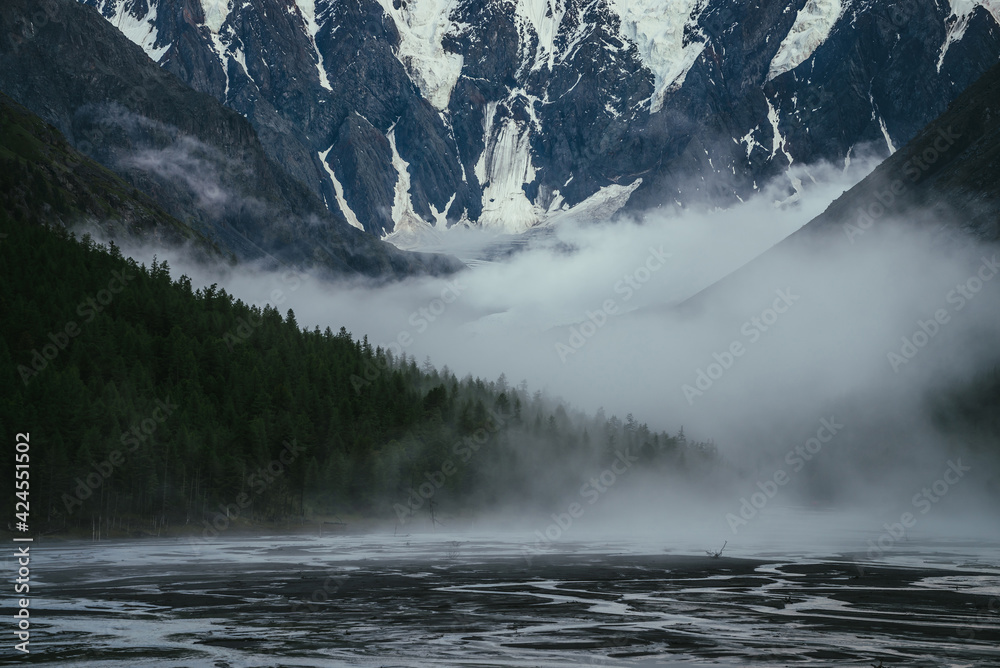 Atmospheric landscape with great snowy mountain wall and dense low clouds among forest silhouettes in mountain valley with water streams from glacier. Thick low clouds among trees silhouettes on slope