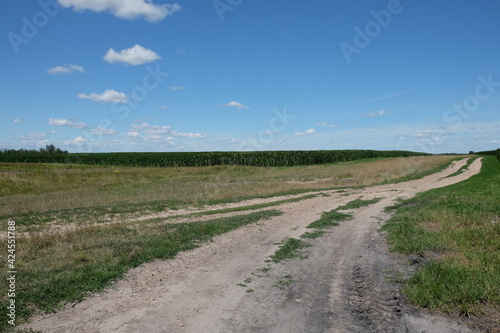 Long dirt road in a field under a blue sky. Scenery.