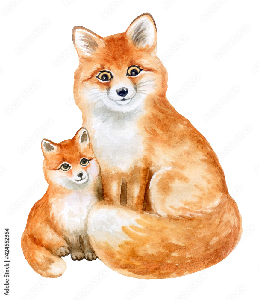 Naklejka premium Fox. Mom and baby isolated on white background. Forest animals. Cartoon. Watercolor. Illustration Template