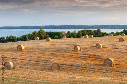 Fototapeta Naklejka Na Ścianę i Meble -  View of the Masurian fields.