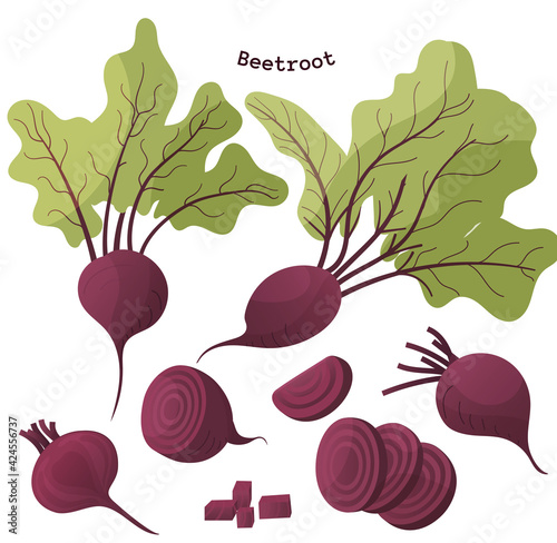 beetroot large set, beetroot cut in different ways, beet rings, cubes, green leaves, vector illustration in cartoon style