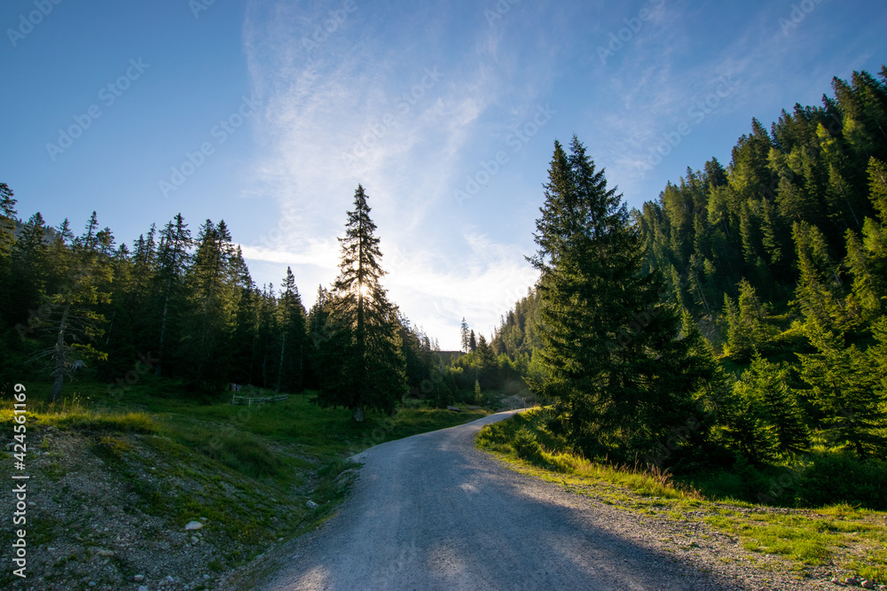 road to the mountains (Ehrwald, Tyrol, Austria)