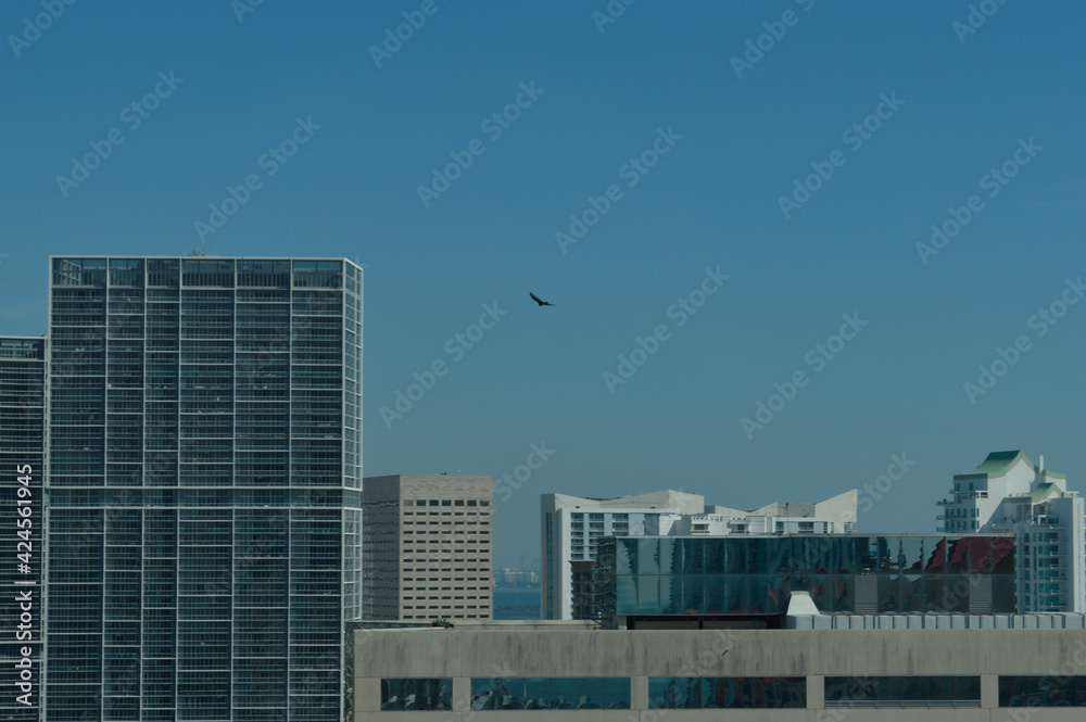 Fototapeta premium downtown city