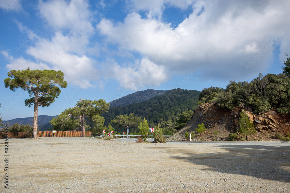 Beautiful landscape with road, mountains and tree. A winding road in the mountains, where coniferous forests grow against a background of blue sky and white clouds. Troodas Mountains in Cyprus