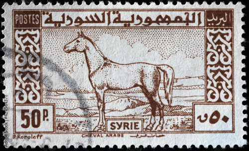 Arabian horse on vintage syrian postage stamp