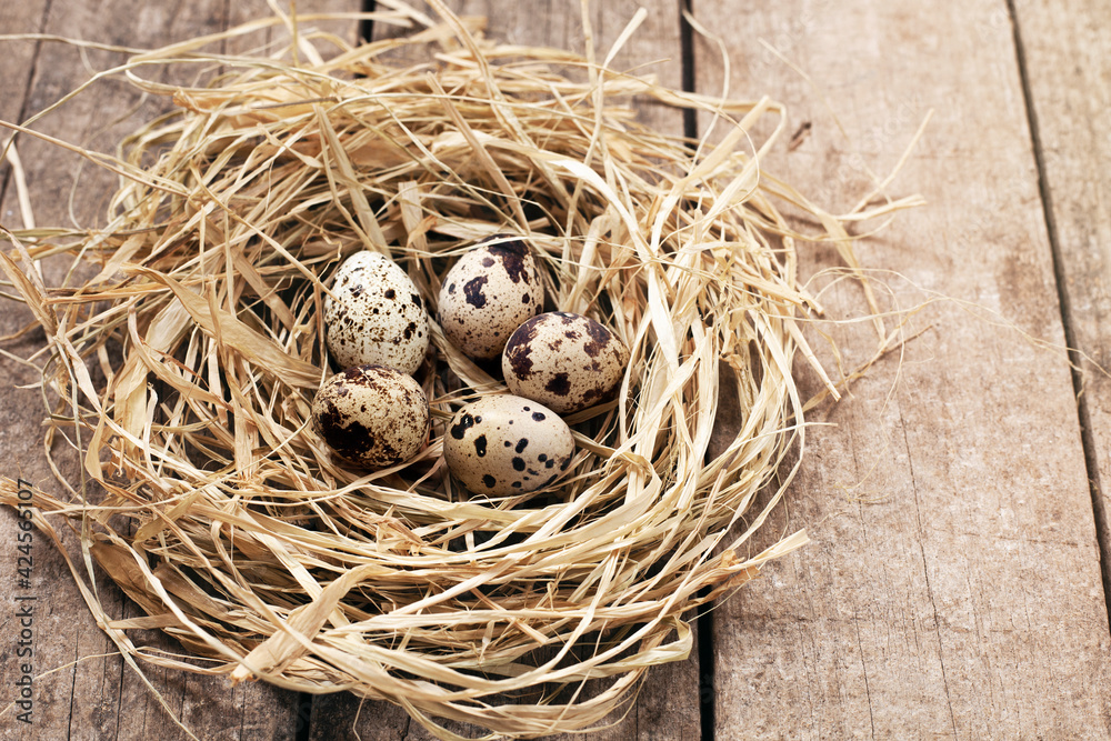 Organic eggs in nest on wooden background. Organic eggs in nest on wooden background.
