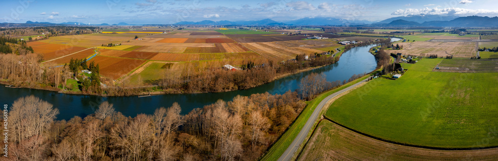 Aerial Panoramic View of the Skagit Valley, Washington. The Skagit river divides the valley with colorful agricultural crops such as daffodils, blueberries, cabbage, and tulips in the background.