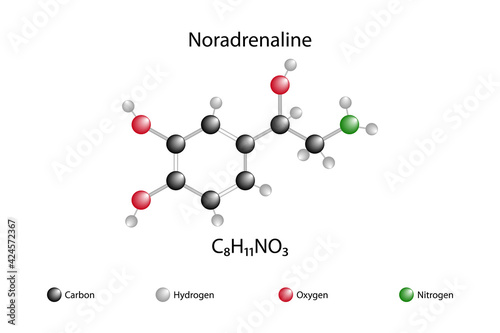 Chemical formula of noradrenaline photo