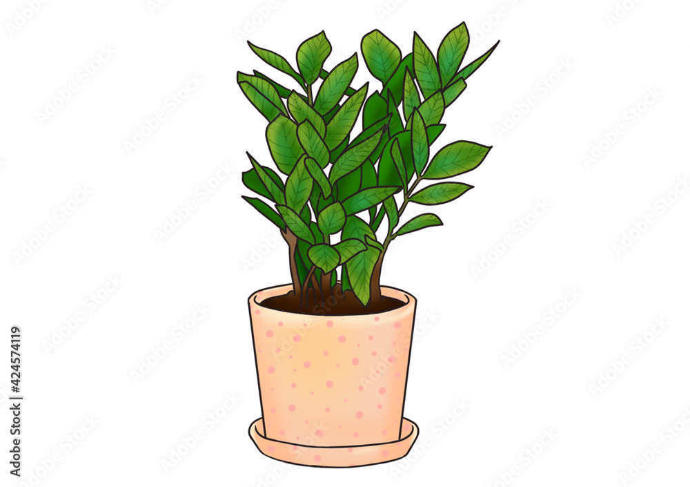 plant in a pot plant in a pot