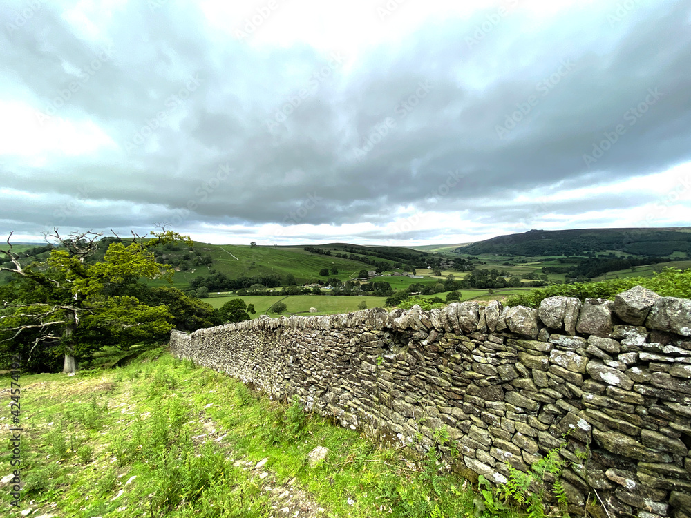 View of a, Yorkshire dry stone wall, as it runs down a sloping field, with trees, and hills beyond near, Barden, Skipton, UK