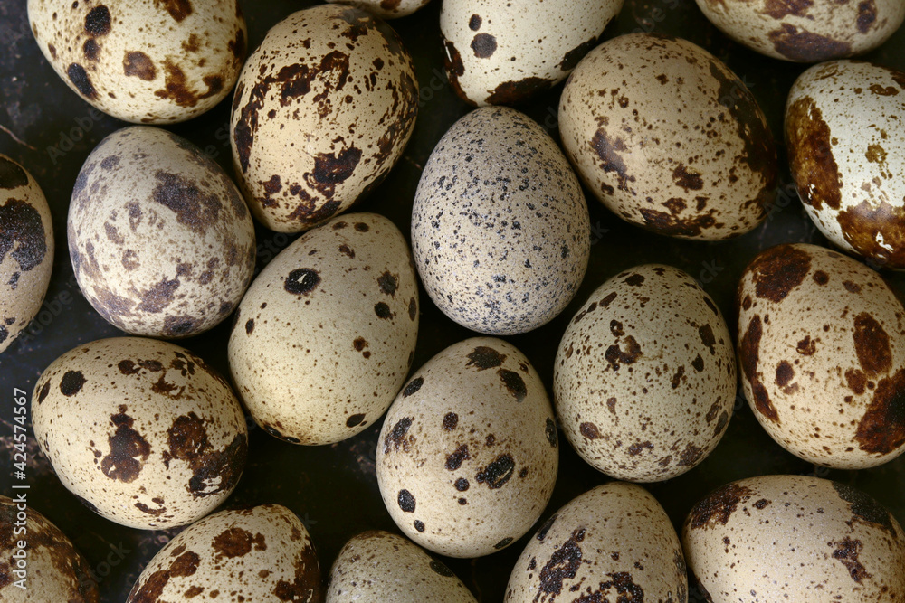 Quail eggs, top view. Easter theme Quail eggs, top view. Easter theme