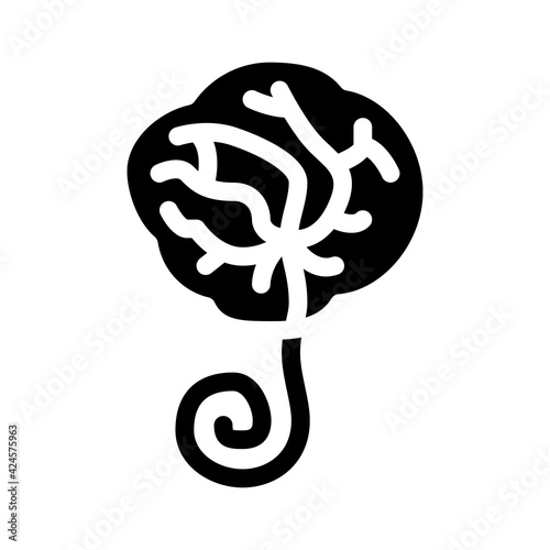placenta human glyph icon vector. placenta human sign. isolated symbol illustration