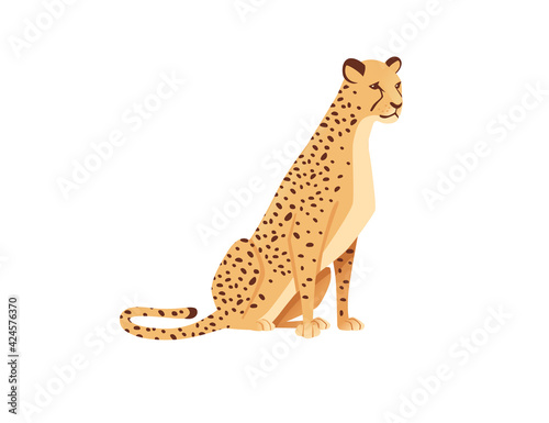Cheetah big wild cat african savannah predator animal cartoon design character vector illustration on white background