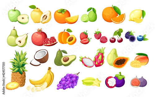 Big set of different fruits exotic fruits and berries vector illustration on white background