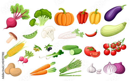 Big set vegetables fresh agriculture collection vector illustration on white background