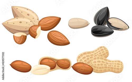 Set of snacks nut almond and sunflower seeds vector illustration on white background