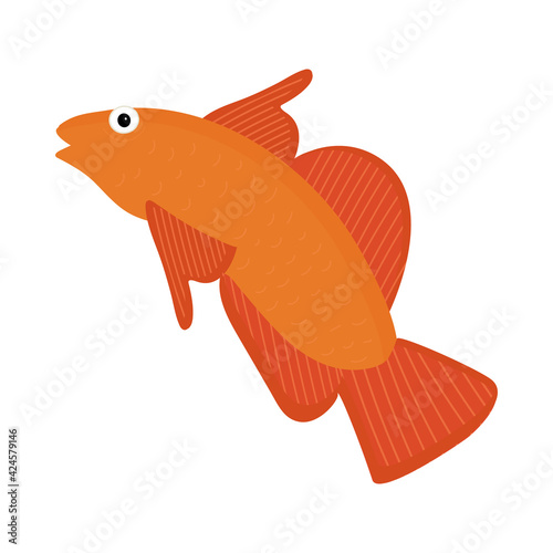 Beautiful orange-gold fish in cartoon style on a white background