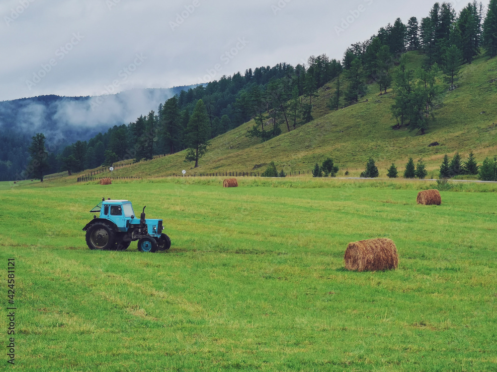 Fototapeta premium bales in the field