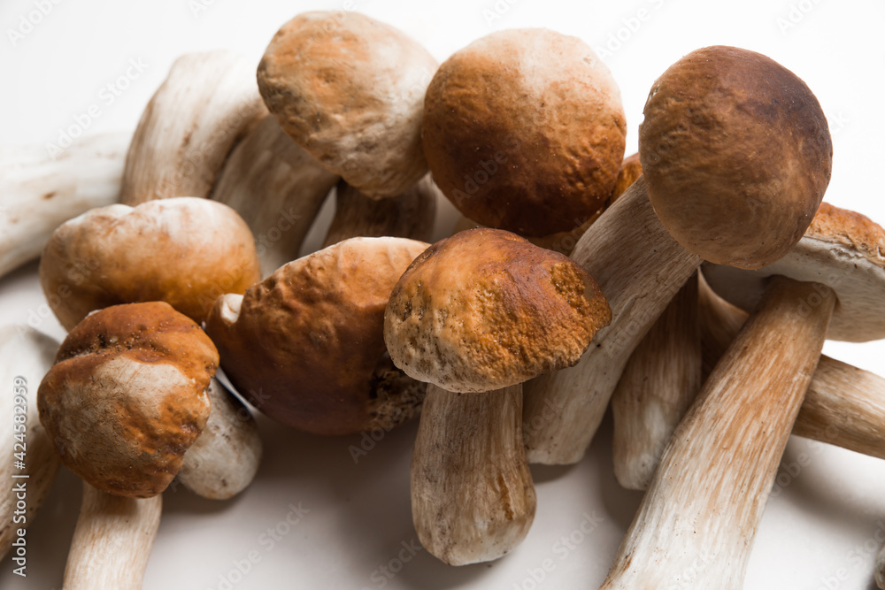 Freshly picked porcini mushrooms. Boletus with a brown hat. Freshly picked porcini mushrooms. Boletus with a brown hat.