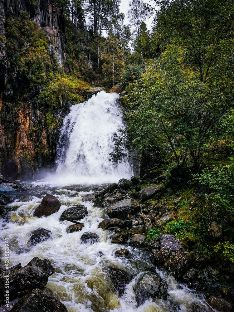 waterfall in the forest waterfall in the forest