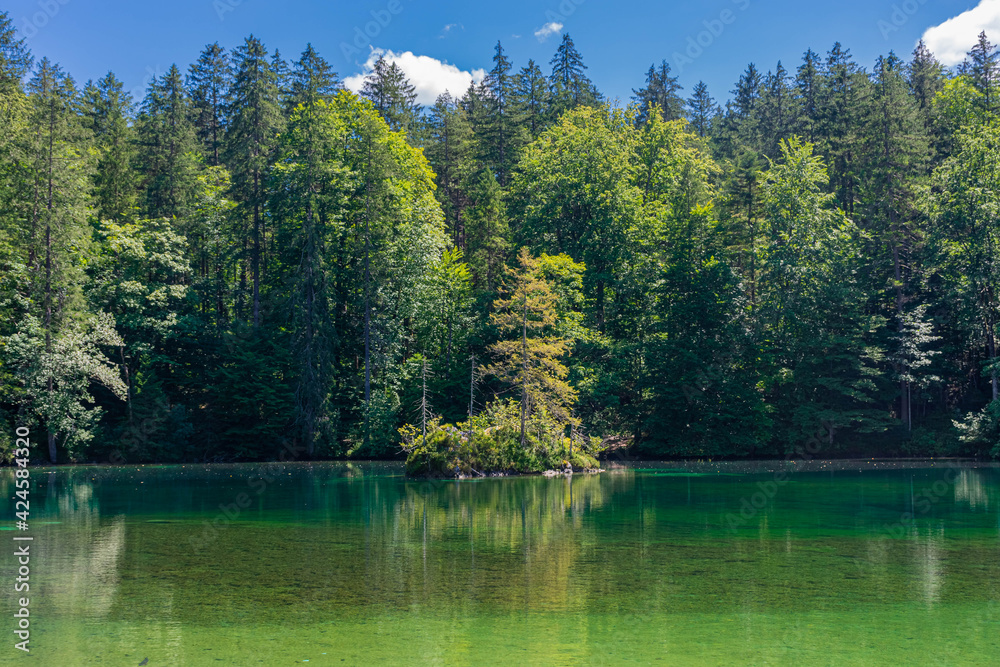 Beautiful crystal clear lake in the forest of the Bavarian Alps,  Germany