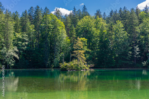 Fototapeta Naklejka Na Ścianę i Meble -  Beautiful crystal clear lake in the forest of the Bavarian Alps,  Germany