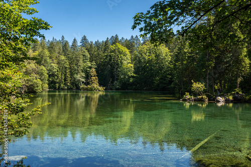 Beautiful crystal clear lake in the forest of the Bavarian Alps   Germany