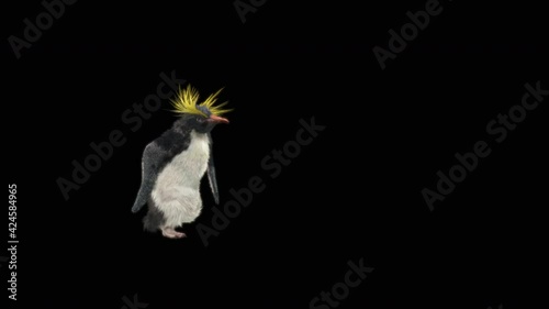 Penguin Dancing CG fur. 3d rendering animal realistic Animation.  3d mapping, Included in the end of the clip with Alpha matte.