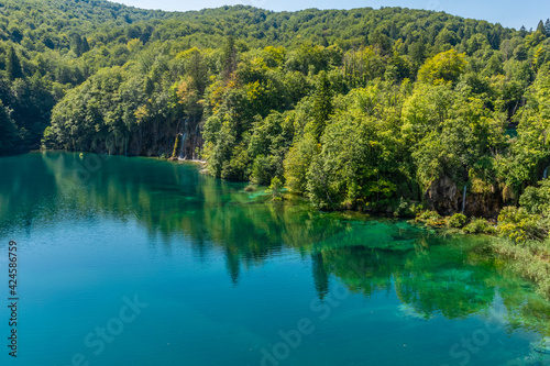 The forest and the lake of Plitvice