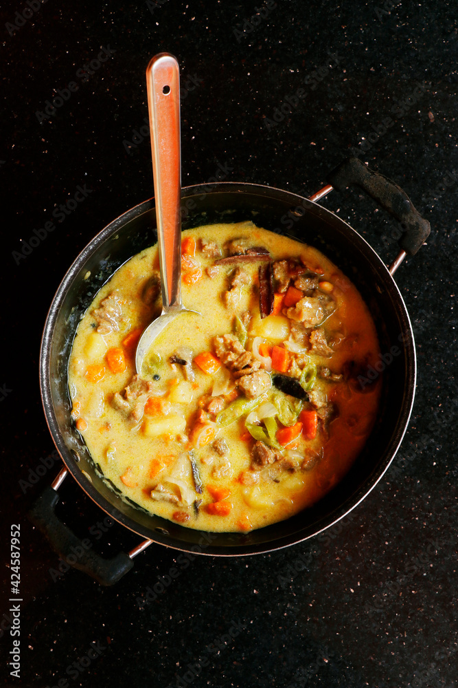 traditional kerala style beef coconut curry with vegetables. Stock