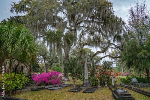 Beautiful old southern cemetery