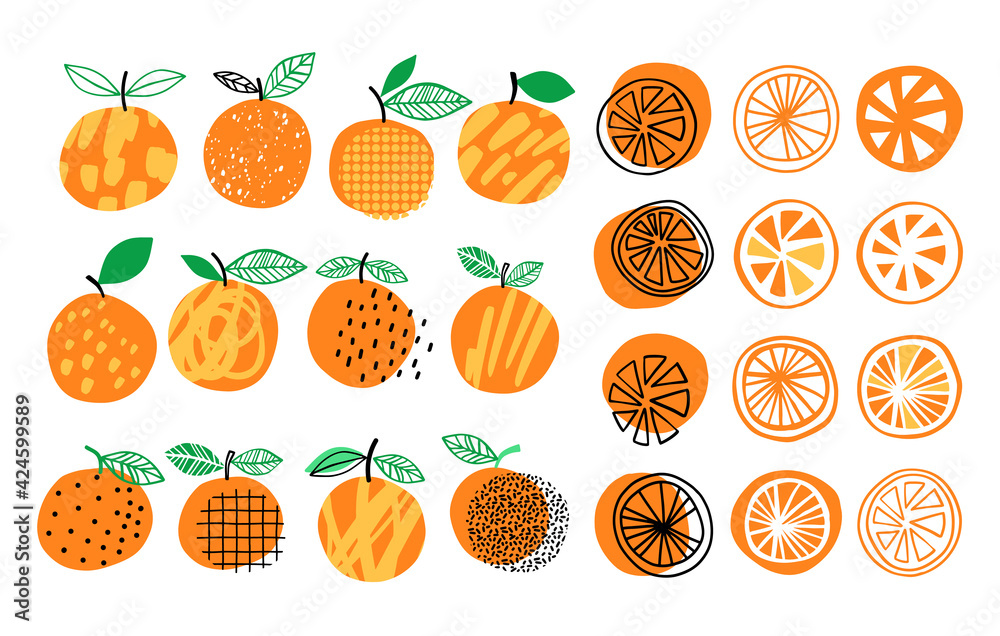Vector orange set illustration. Hand drawn orange summer collection. Citrus design Vector orange set illustration. Hand drawn orange summer collection. Citrus design