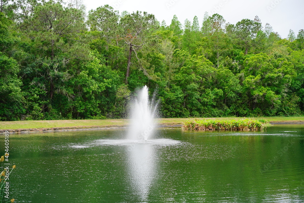 A pond and geyser in a community of Florida