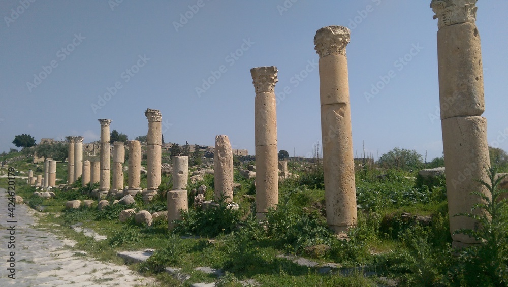 the fence of the ruins