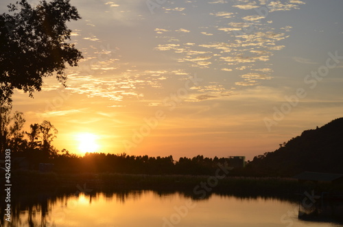 Sun Shine in the morning for a background.