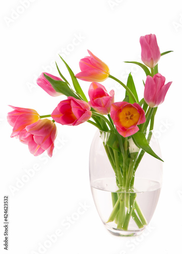 Wallpaper Mural Many beautiful tulips with leaves in a glass vase isolated on transparent background. Photo with fresh spring flowers for any festive design Torontodigital.ca