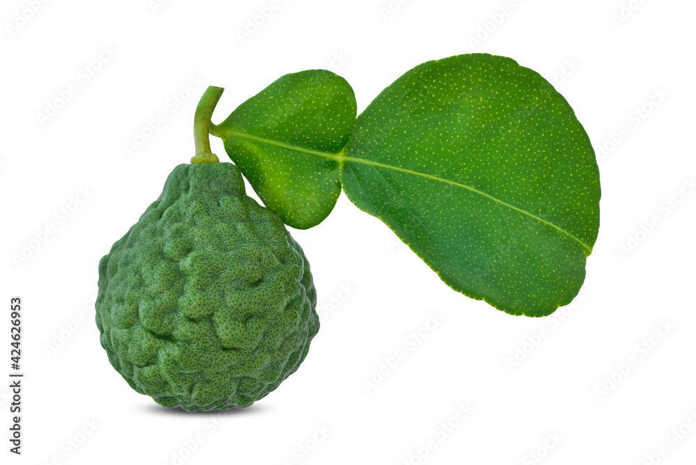Bergamot fruit and leaves isolated on white background have clipping path Bergamot fruit and leaves isolated on white background have clipping path
