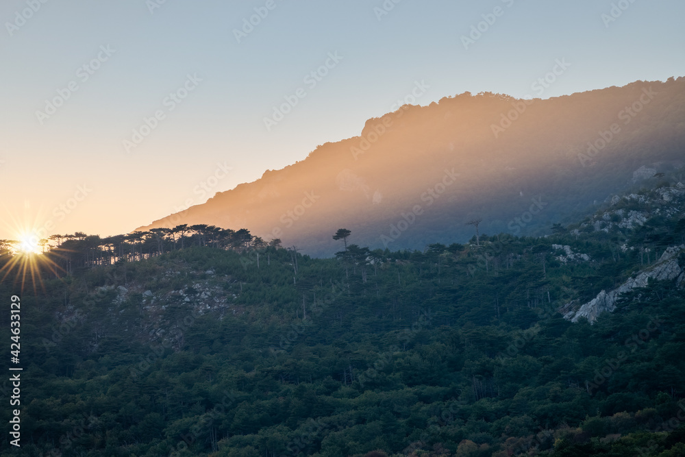 Obraz premium Sunset in the mountains among the green trees