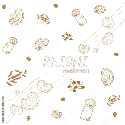 Reishi mushroom line hand drawing - mycelium, capsules, spawn and sliced mycelium