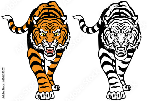  Angry roaring tiger. Front view. Colour and Black White tattoo style vector illustration