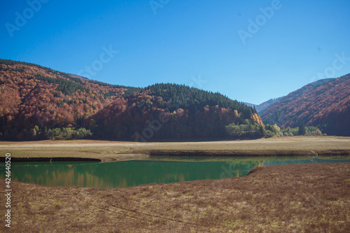 Amazing autumn landscape in the mountains with river and colorful trees on backdrop. Beautiful autumn background. Fall near Tereblia reservoir, Carpathian Mountains, Ukraine.  photo