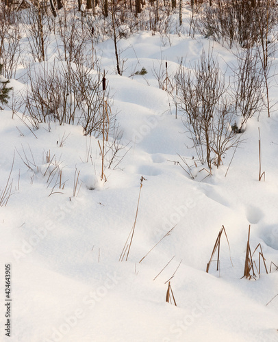 grass in large drifts after snowfalls and blizzards, the winter