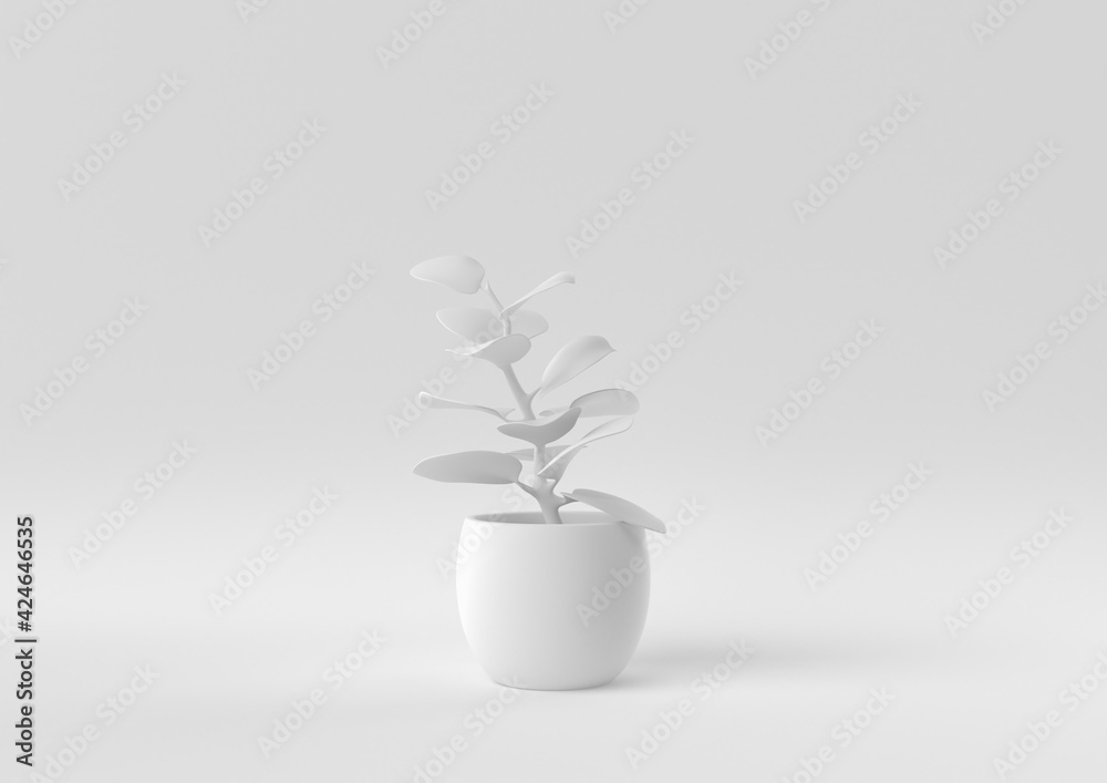 White Tree pot in white background. minimal concept idea creative. monochrome. 3D render. White Tree pot in white background. minimal concept idea creative. monochrome. 3D render.