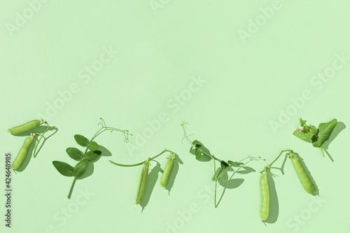 Wallpaper Mural Fresh sweet green pea pods with leaves, pea sprouts, healthy vegetable food. Monochrome image Torontodigital.ca